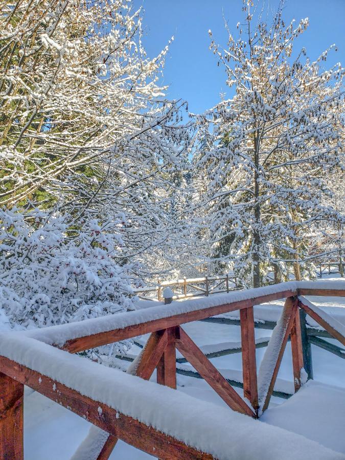 Guest Rooms- Klepalski House Borovets Exterior foto
