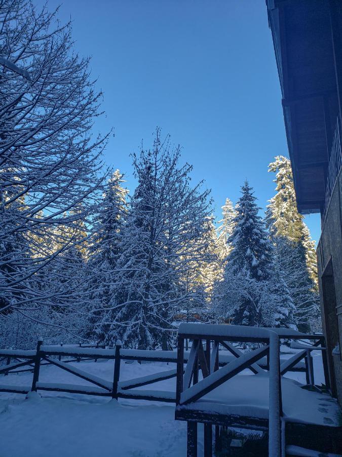 Guest Rooms- Klepalski House Borovets Exterior foto