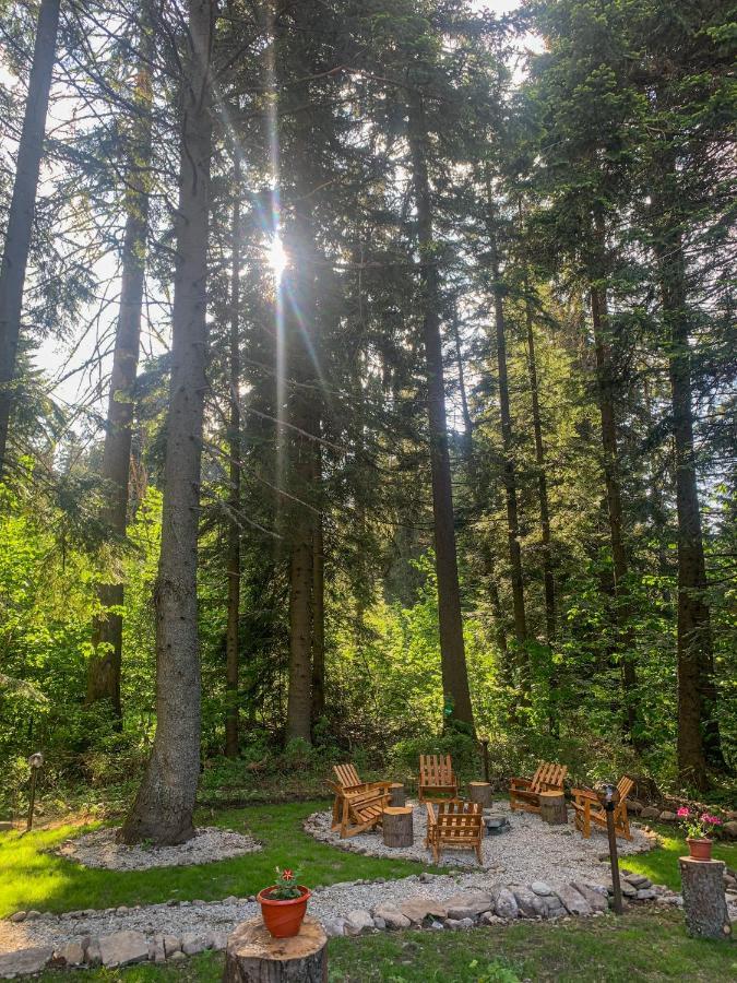 Guest Rooms- Klepalski House Borovets Exterior foto