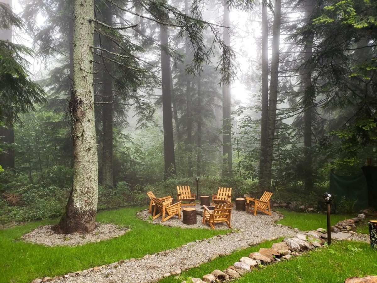 Guest Rooms- Klepalski House Borovets Exterior foto